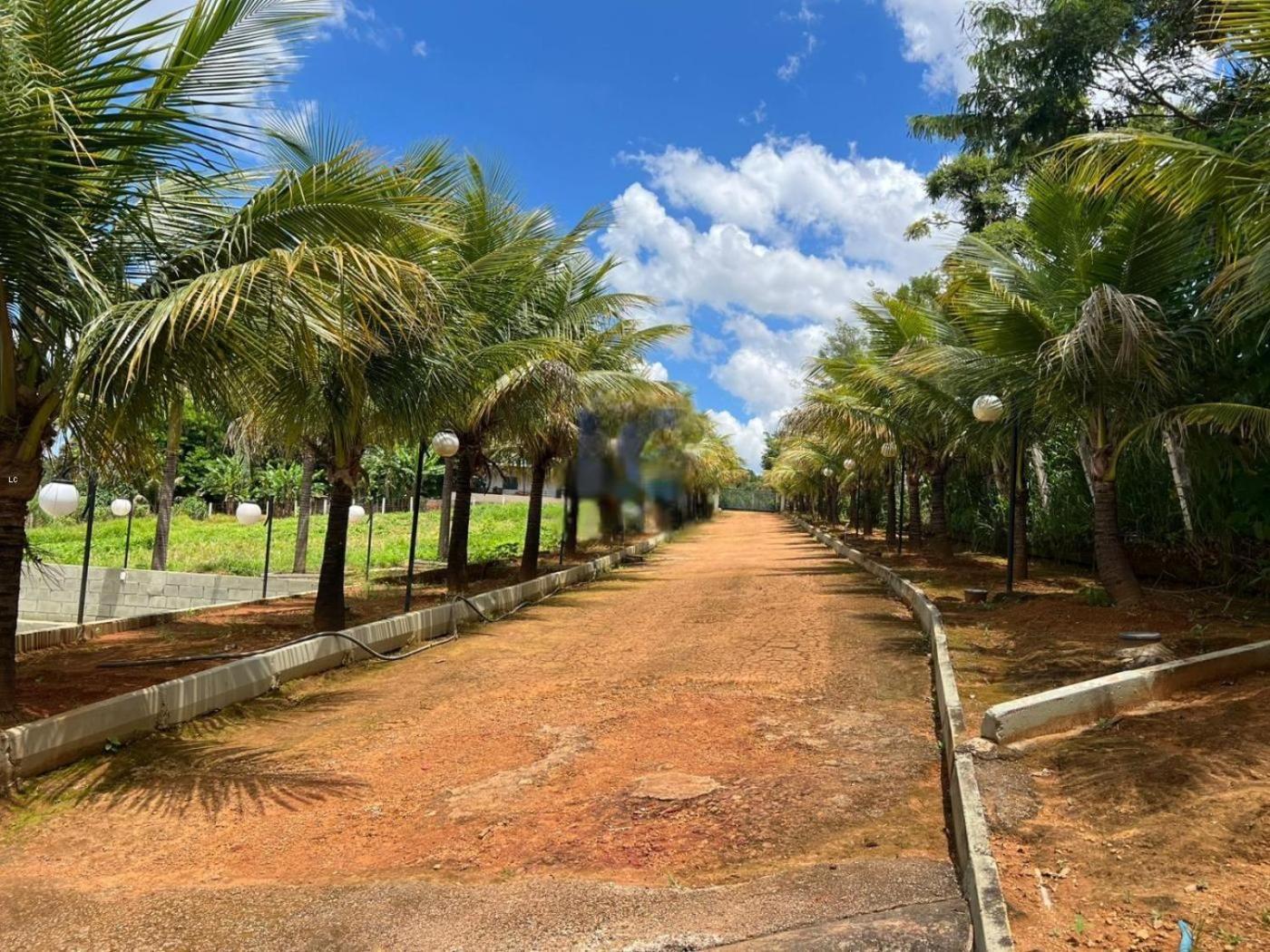 Chacara Vive La Vie Ponte Alta Hotel Gama  Ngoại thất bức ảnh